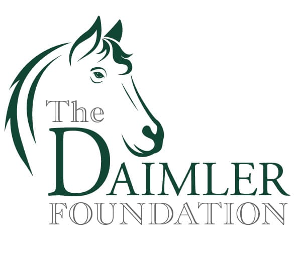 The Daimler Foundation