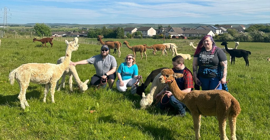 Hannahston Alpacas