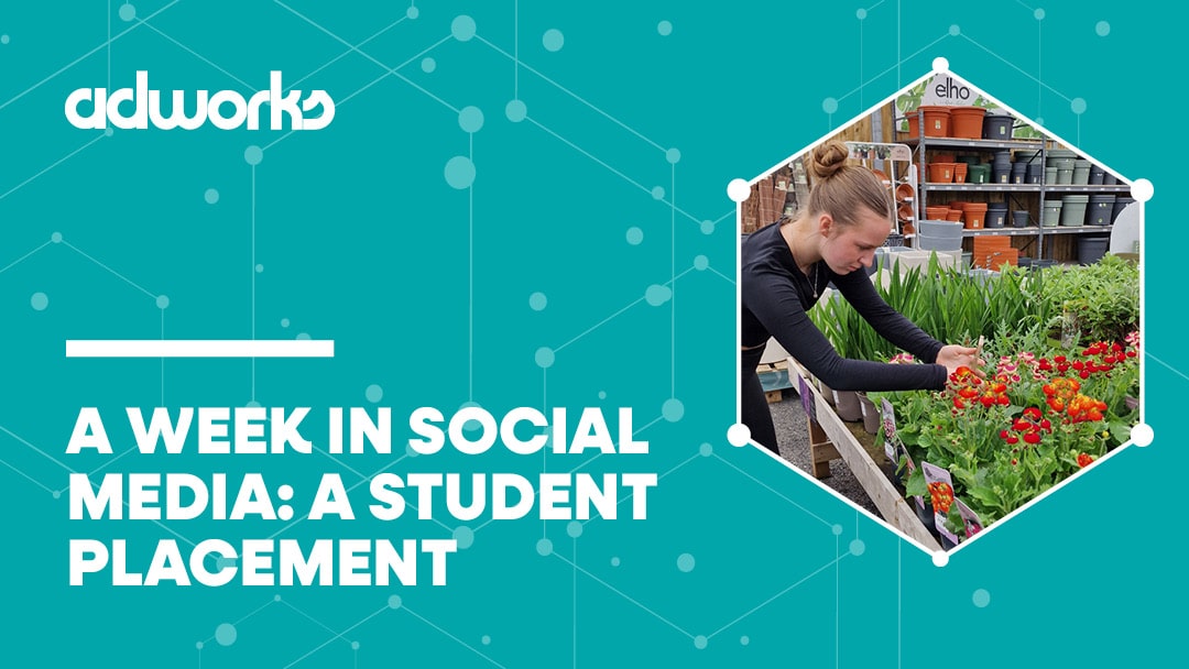 A Week in Social Media: A Student Placement